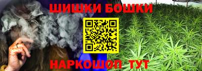 a pvp Кудымкар