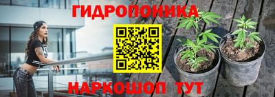гидра Балахна